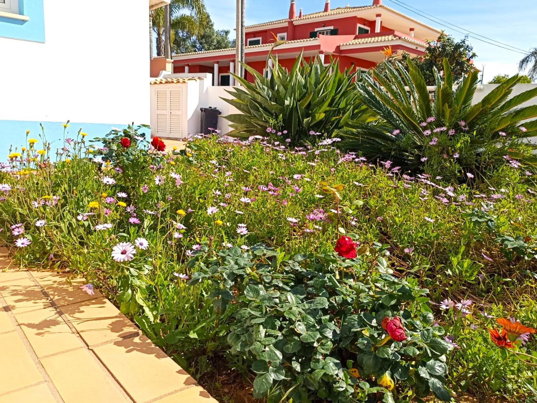 Casa Azul Hotel Лагос Екстериор снимка